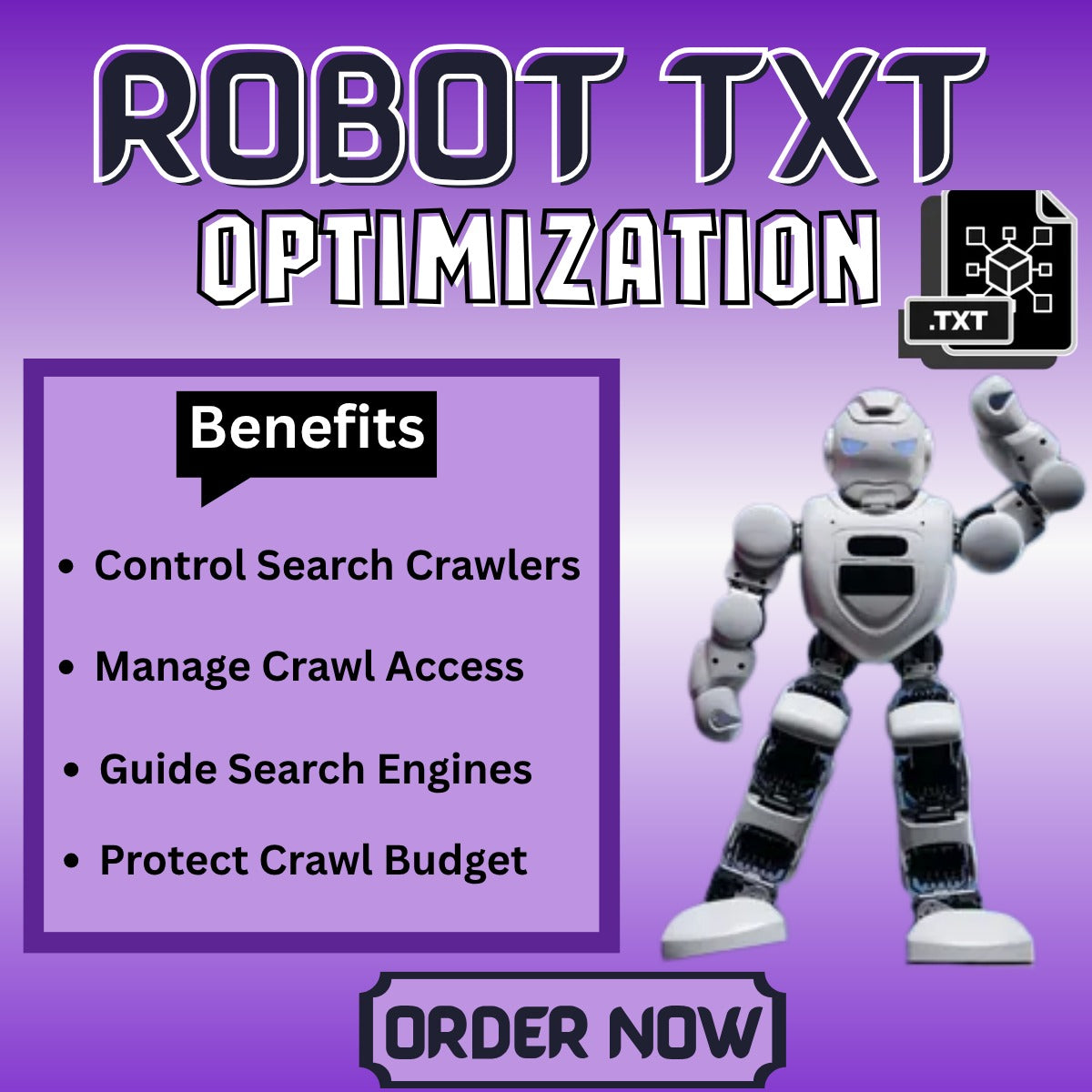 Robot Txt